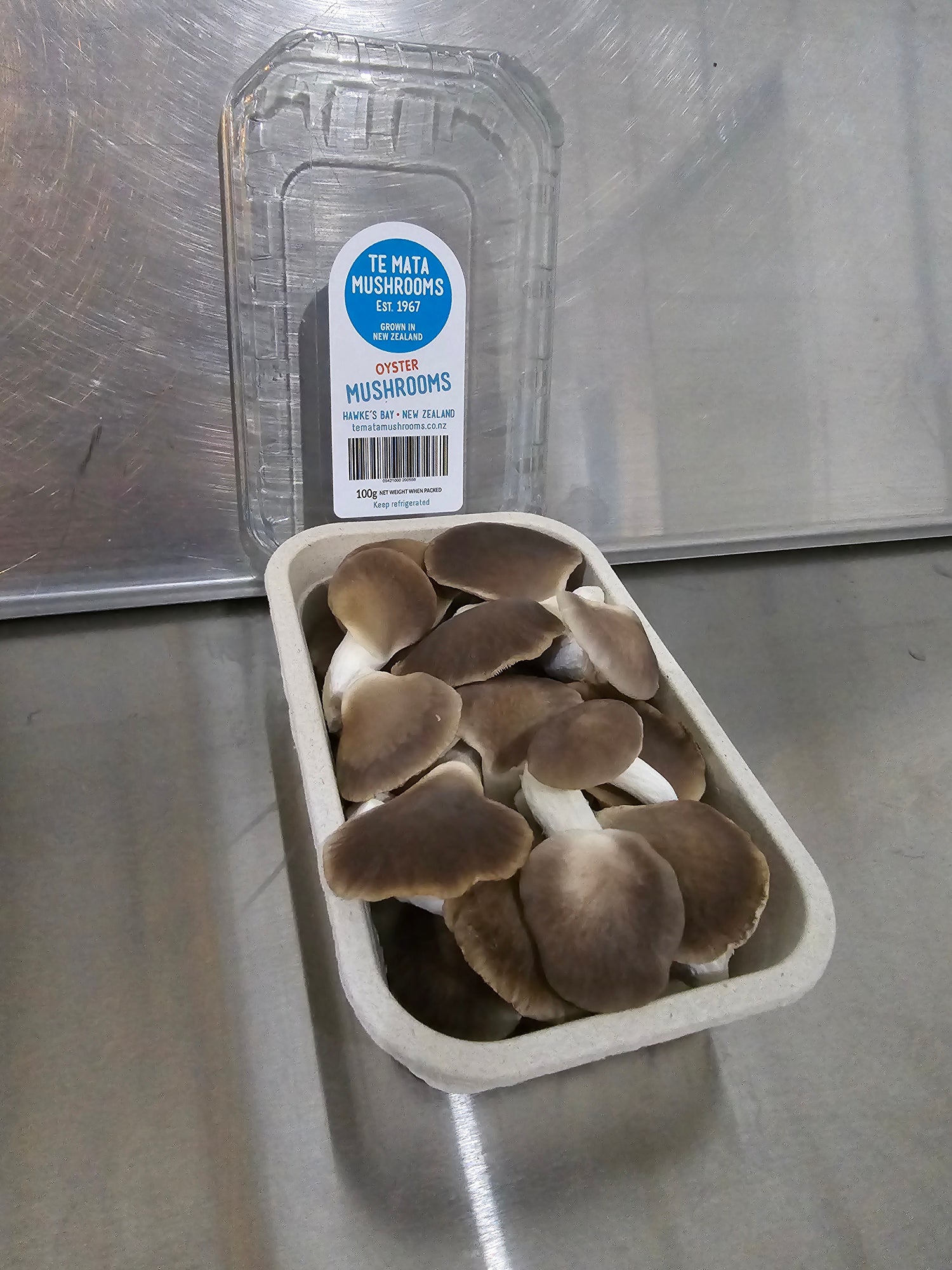 Oyster mushroom 100g punnet